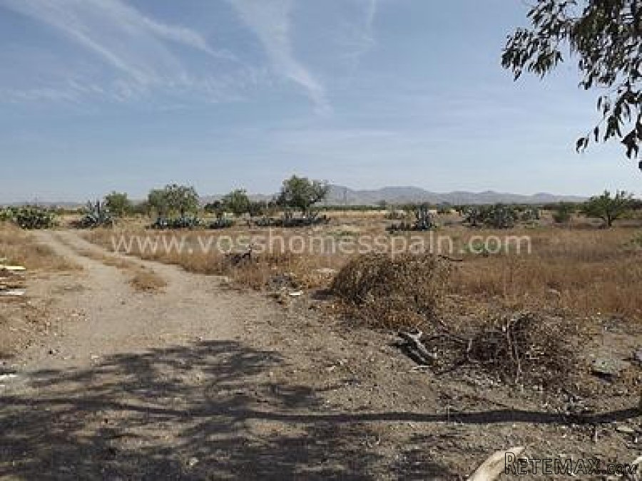 A 2 bed, 1 bath recently built, country house in need of.. - 3