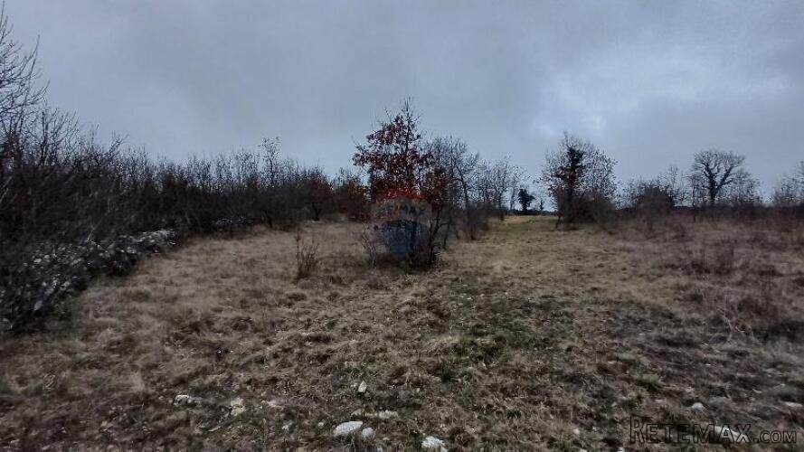 Istra,Orbanići-veliko poljoprivredno zemljište za OPG - 3