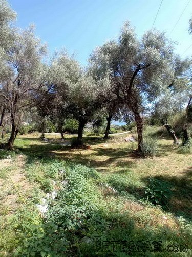 Herceg Novi, građevinski placevi na 1.7 km od centra - 3