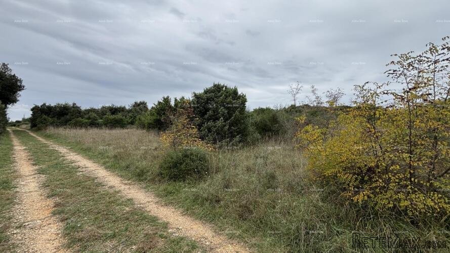 PULA, Valelunga - Građevinska parcela PADULJ - 3