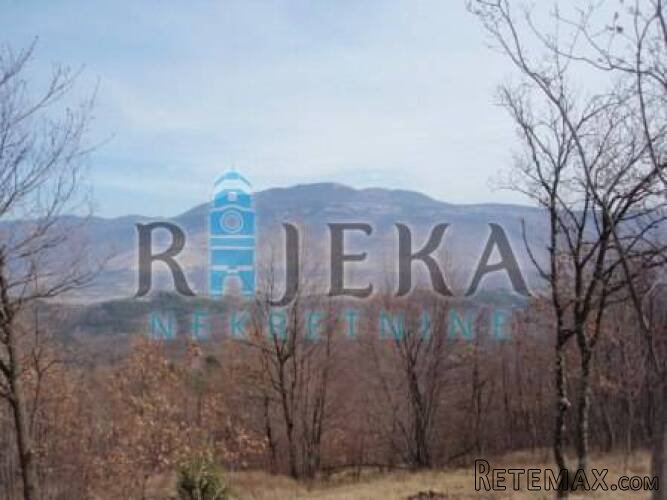 Pazin-okolica , 4834 m2 zemljište u građevinskoj zoni - 4