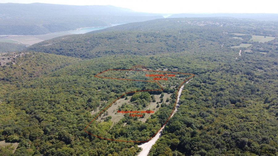 ISTRA, BARBAN - Veliko zemljište 5ha za investicijsko ulagan - 3