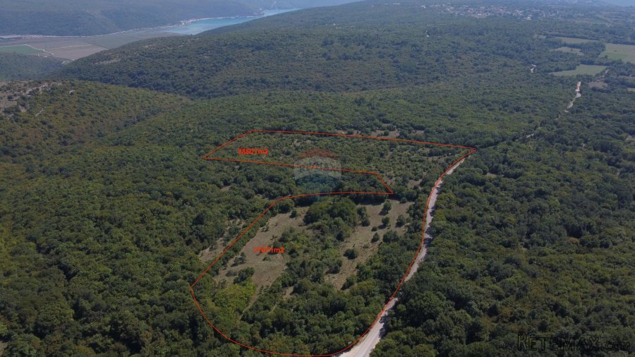 ISTRA, BARBAN - Veliko zemljište 5ha za investicijsko ulagan - 4