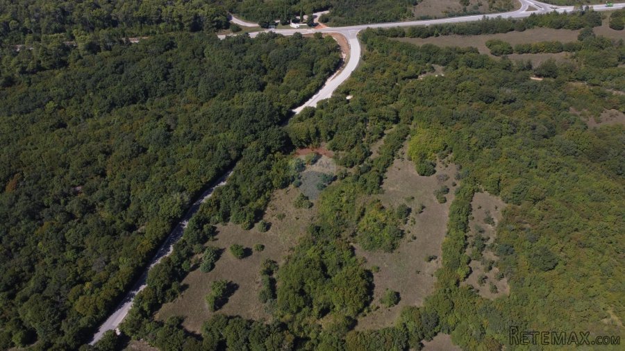 ISTRA, BARBAN - Veliko zemljište 5ha za investicijsko ulagan - 5