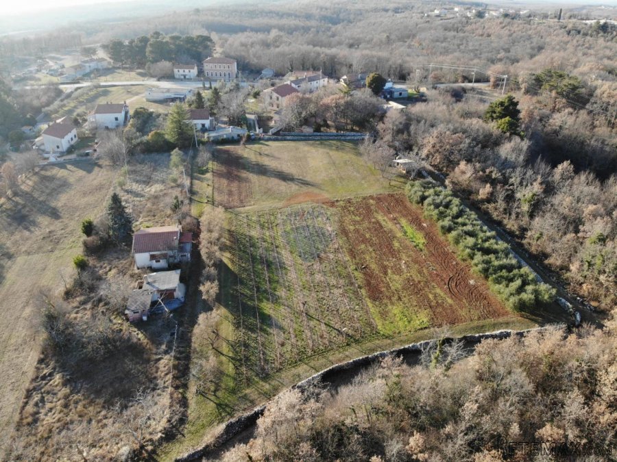 Višnjan-Cvitani - građevinski teren - 6234 m2