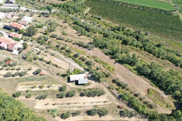 BUJE - MOMJAN, starina sa zemljištem površine 16.691 m2 - 2