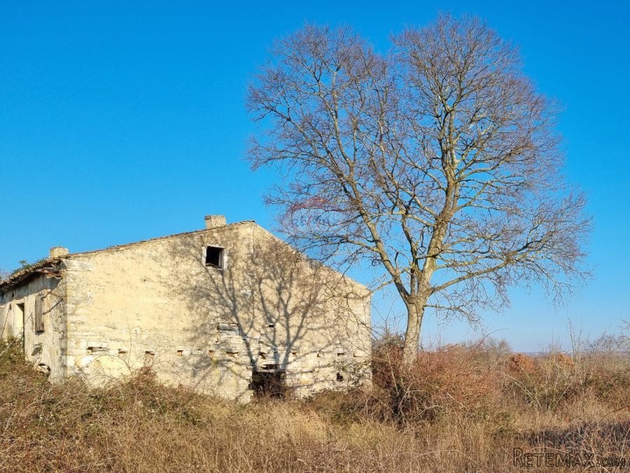 ISTRA - BALE OKOLICA - 3500 m2 GRAĐEVINSKO ZEMLJIŠTE SA KUĆO - 2