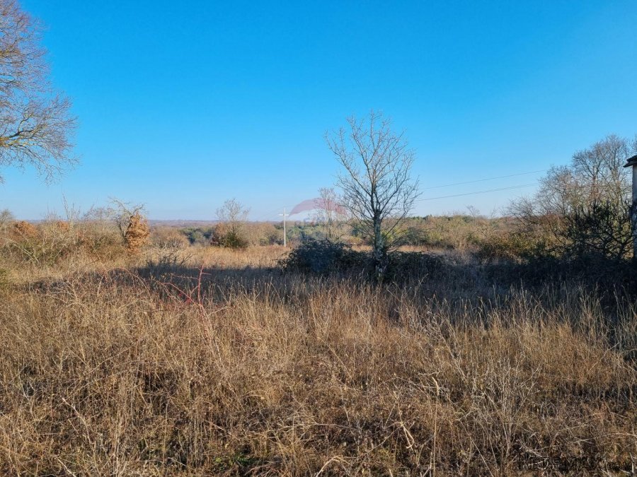 ISTRA - BALE OKOLICA - 3500 m2 GRAĐEVINSKO ZEMLJIŠTE SA KUĆO - 4