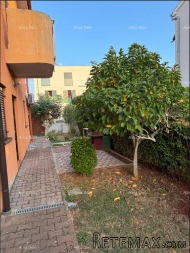 Na prodaju: Apartman u Novigradu s velikim vrtom. - 4