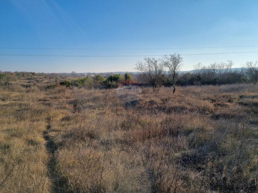 ISTRA - BALE OKOLICA - 3500 m2 GRAĐEVINSKO ZEMLJIŠTE SA KUĆO - 5