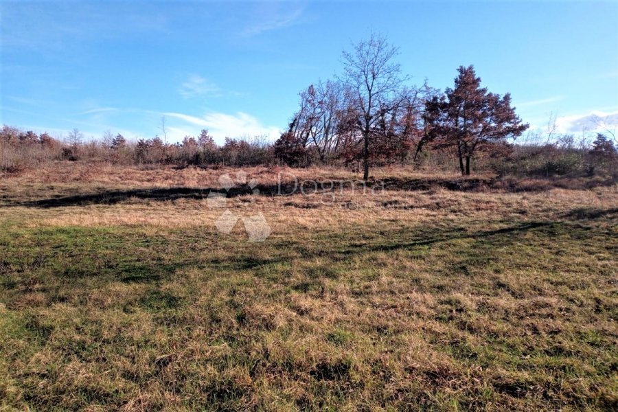 TINJAN – odlično kombinirano zemljište 20 km od mora - 7