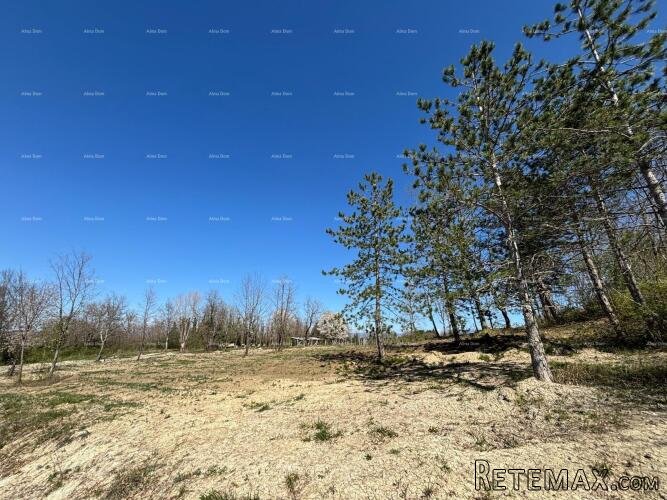 PAZIN (Istra) - građevinsko zemljište 1666 m2, u zelenoj z.. - 2