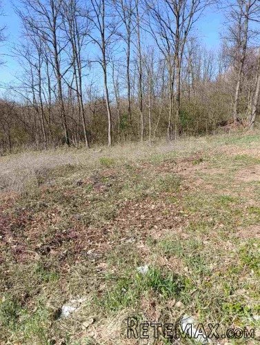 Prodajem zemljiste u Vrbovnu-Lazarevac - 2