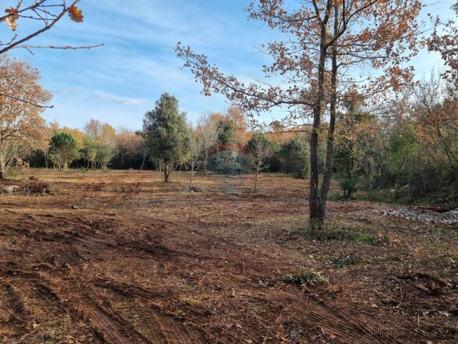 Rovinj, očišćen pašnjak/oranica uz glavni put i 600 metara o - 4