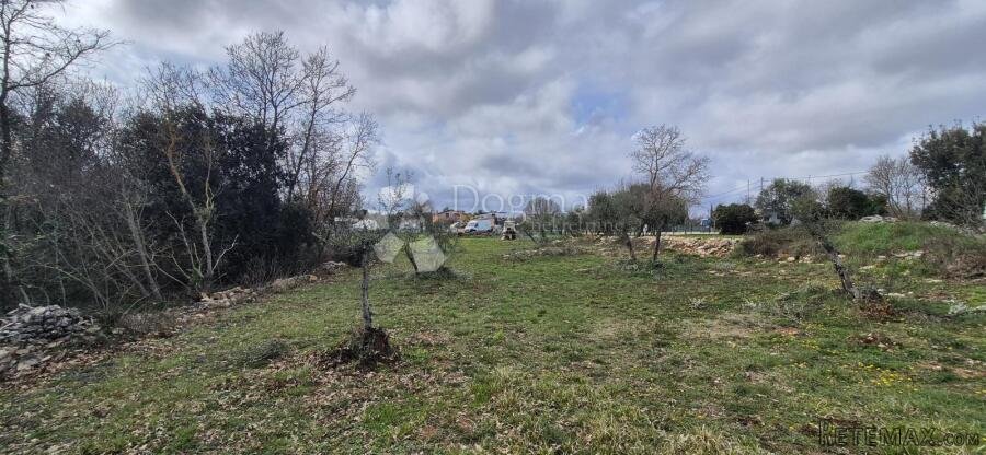 Građevinsko zemljište na samo 1,5 km od mora sa 6 stoljetnih