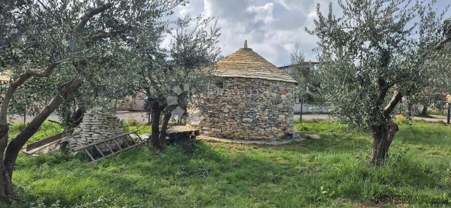 Maslinik sa kamenim kažunom površine 15 m2, 1,5 km od mora