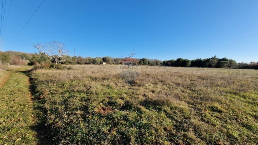 Istra, Rovinjsko Selo, poljoprivredno zemljište 27672m2