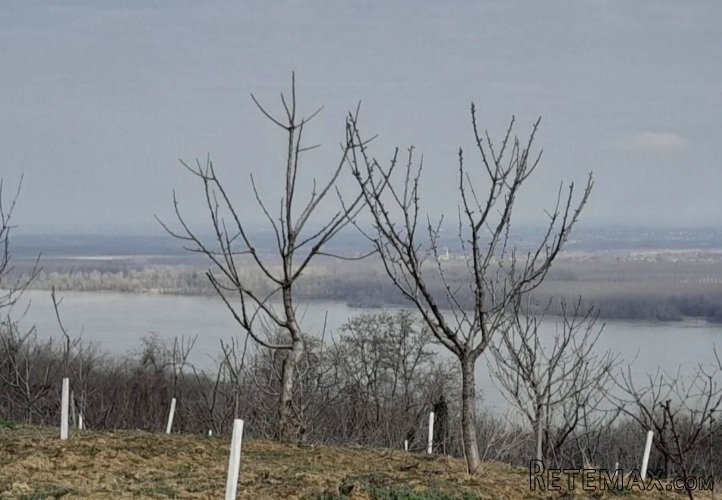 Plac Plavinci-Grocka - 11