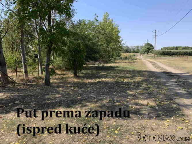 Prodaje se kuća/salaš u Hajdukovu na parceli od 3,5 jutra zemlje - 11