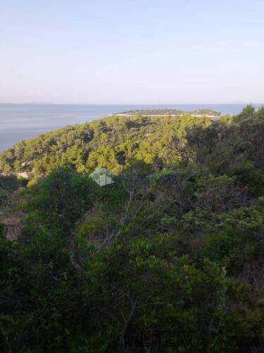 Korčula, Blato, 30.526 m2, južna strana, mogućnost gradnje - 14