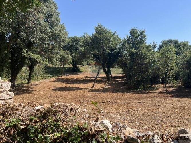 Istra,Pinezići - građevinsko zemljište - 2
