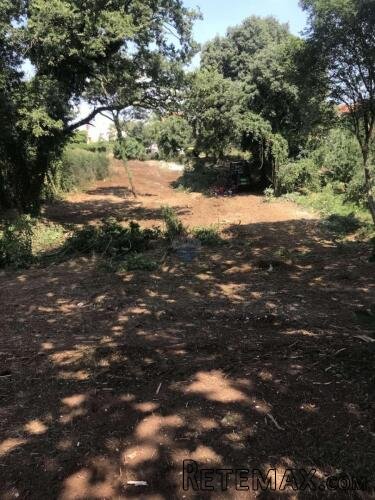 Istra,Pinezići - građevinsko zemljište - 3