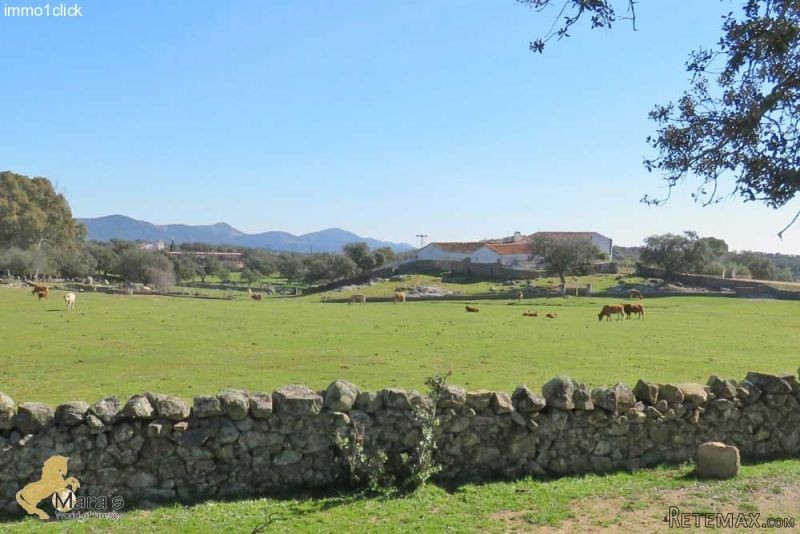 Santa Ollala del Cala: beautiful farm..