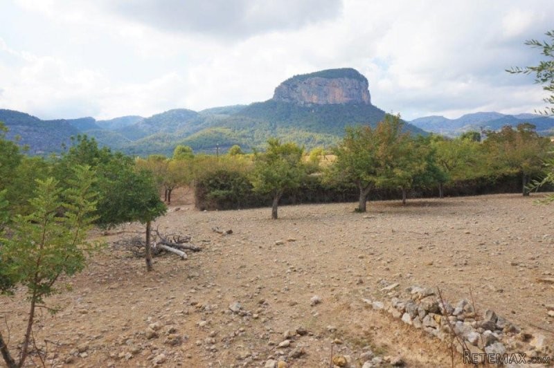 Building plot in Alaro with valid.. - 2