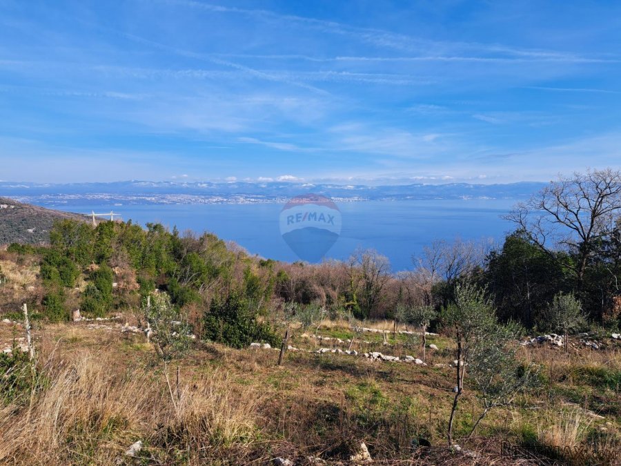 Mošćenice,poljoprivredno zemljište,maslinik