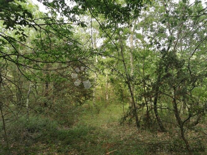 Poljoprivredno zemljište (oranica + šuma)