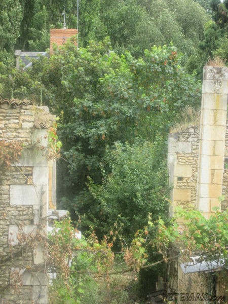 Character Period House to Renovate - 2