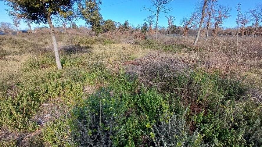 Istra, Peroj, 2 parcele kod Batvača - 2