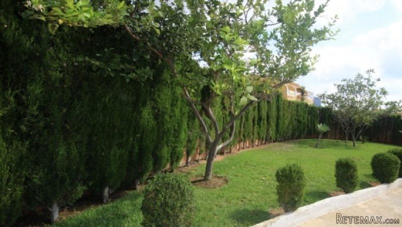 2 Bedroom 1 Bathroom BUNGALOW FOR SALE.. - 2
