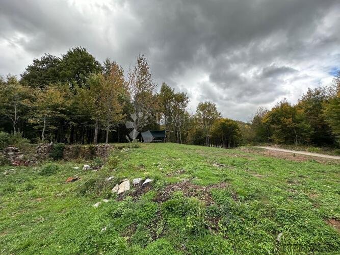 SV ROK GRAĐEVINSKO ZEMLJIŠTE 50000 m2