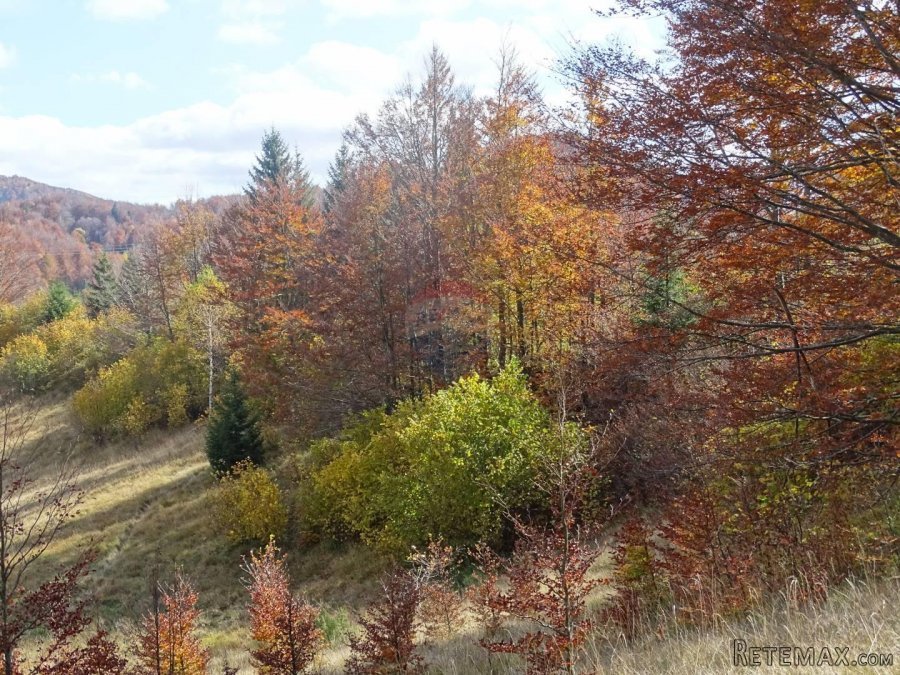 Stari Laz-poljoprivredni teren - 6