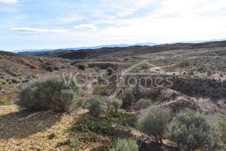 RESERVED MARCH 2022 WITH VOSS HOMES - Country Villa of.. - 2