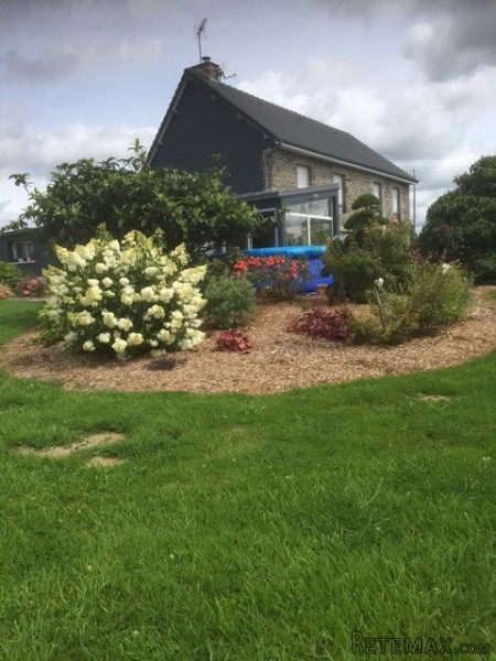 High Quality Detached House - 2