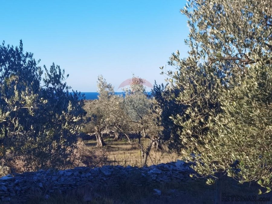 Istra, Fažana - vikend zemljište sa stoljetnim maslinama - 4