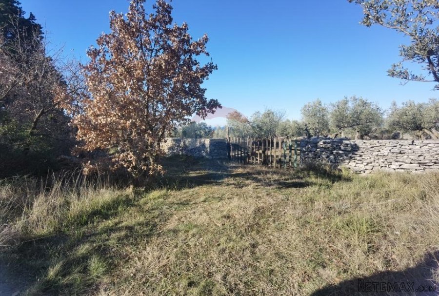Istra, Fažana - vikend zemljište sa stoljetnim maslinama - 7