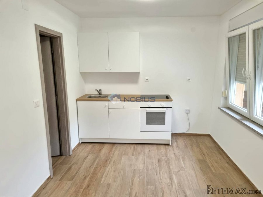 Karlovac, drvena kuća 168 m2 s tri apartmana - 7