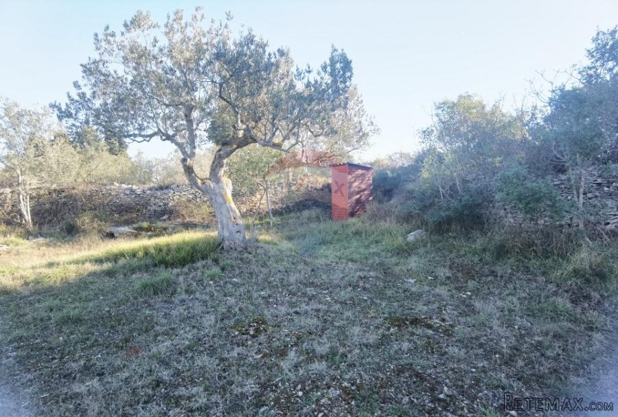 Istra, Fažana - vikend zemljište sa stoljetnim maslinama - 8