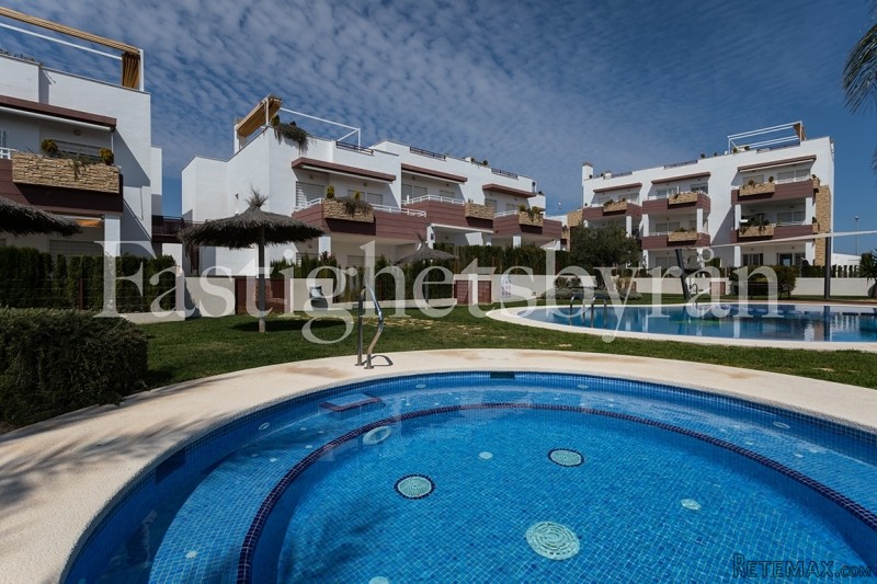 Punta Prima | Torrevieja