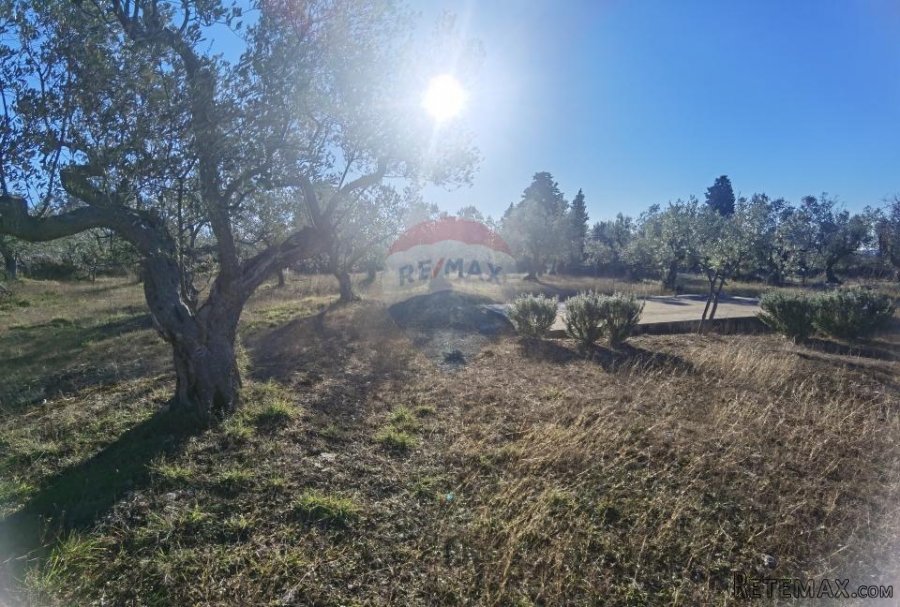 Istra, Fažana - vikend zemljište sa stoljetnim maslinama - 9