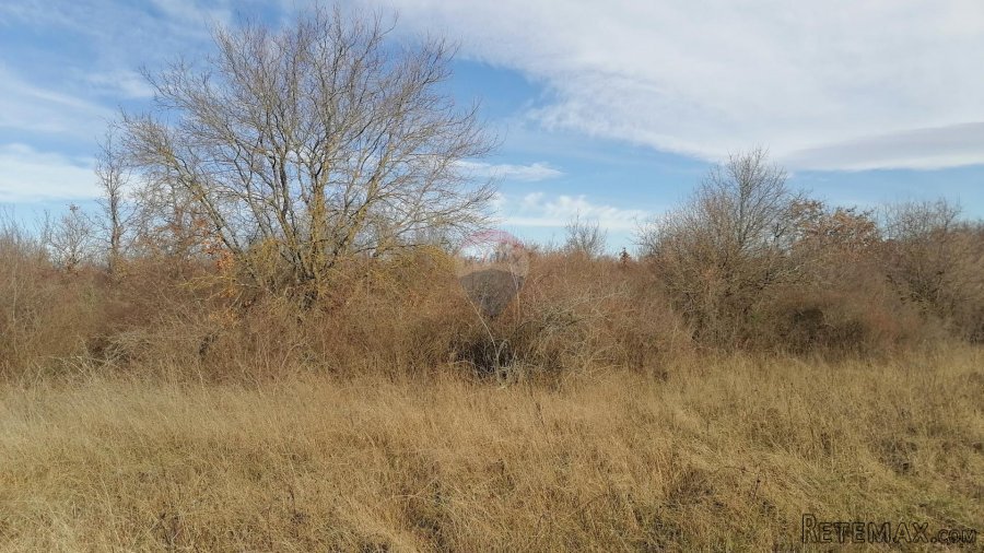 Istra, Žbandaj, poljoprivredno zemljište 18 045 m2 - 2