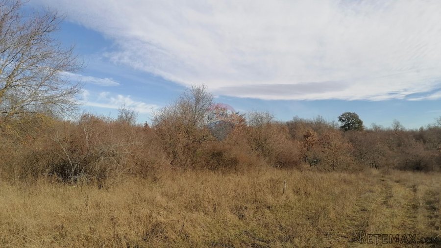 Istra, Žbandaj, poljoprivredno zemljište 18 045 m2 - 3