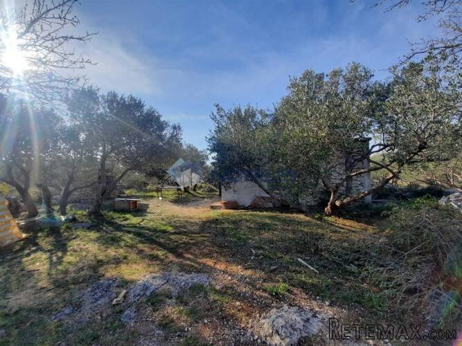Vodice, kamena kuća 39 m2 s maslinikom 1.820 m2 - 3