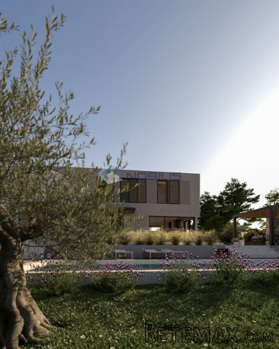 Istra, Vrsar, 180m2 kuća s bazenom i velikom okućnicom - 4