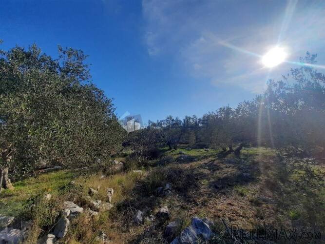 Vodice, kamena kuća 39 m2 s maslinikom 1.820 m2 - 4