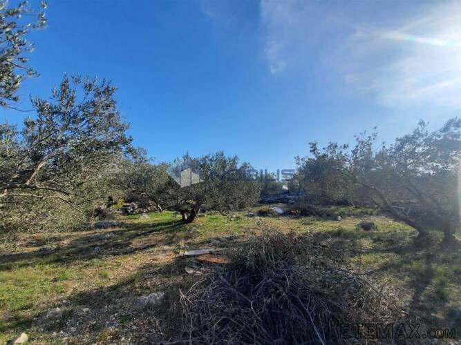 Vodice, kamena kuća 39 m2 s maslinikom 1.820 m2 - 6
