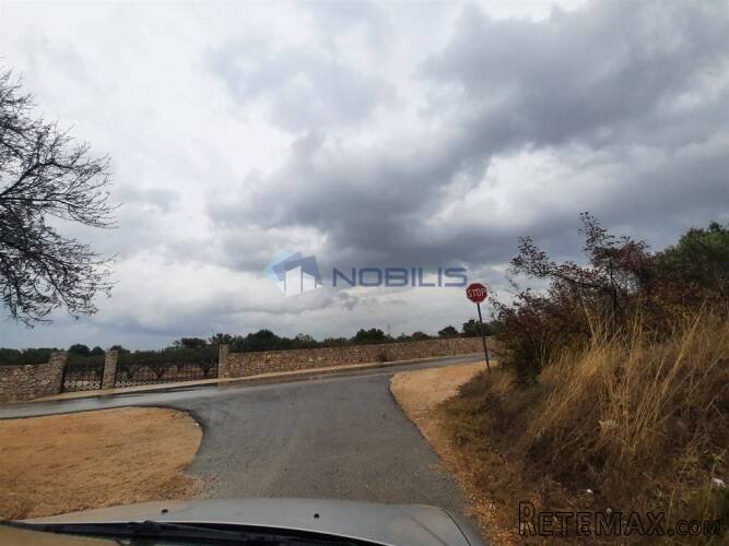 Vodice, kamena kuća 39 m2 s maslinikom 1.820 m2 - 8